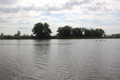 IMG_2228