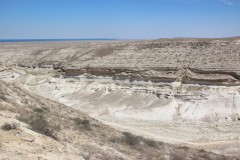 IMG_2371