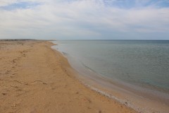 IMG_2430