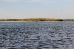 IMG_2661