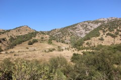 IMG_2870