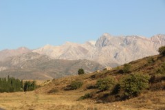 IMG_2872
