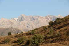 IMG_2873