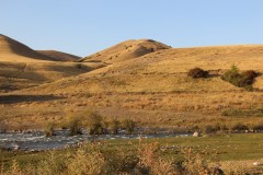 IMG_2875