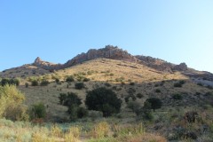 IMG_2880