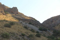 IMG_2881