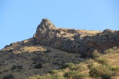 IMG_2882