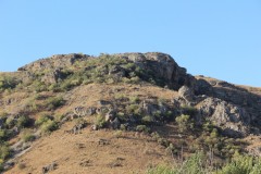 IMG_2883