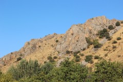 IMG_2884