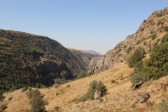 IMG_2893