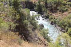 IMG_2894