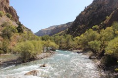IMG_2900