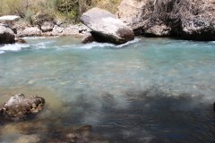 IMG_2905