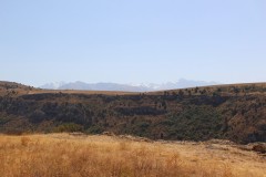 IMG_2909