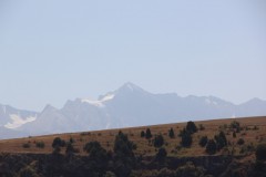 IMG_2910