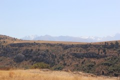 IMG_2911