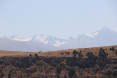 IMG_2913