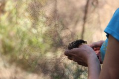 IMG_2925