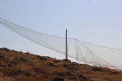 IMG_2949