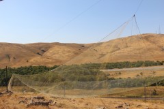 IMG_2950
