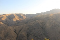 IMG_2952