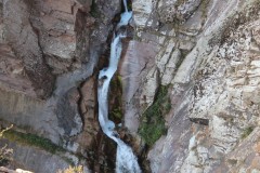 IMG_2956