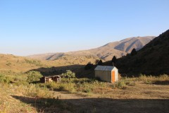 IMG_2962