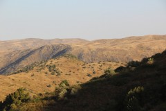 IMG_2967