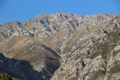 IMG_2969