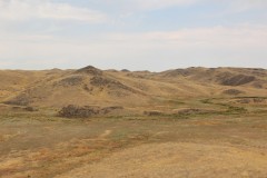 IMG_3051