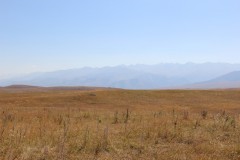 IMG_3092