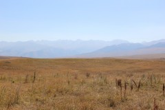 IMG_3093