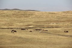 IMG_3099