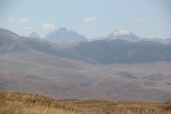 IMG_3100