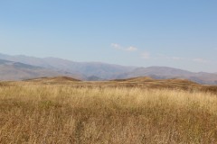 IMG_3101