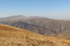 IMG_3113