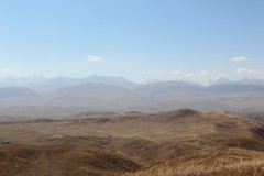 IMG_3121
