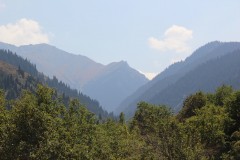 IMG_3125
