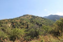 IMG_3126