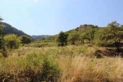 IMG_3127