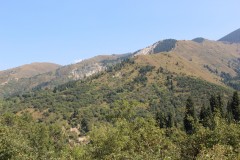 IMG_3128