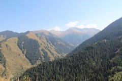 IMG_3131