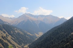 IMG_3135