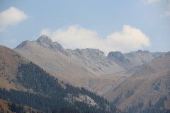 IMG_3137