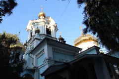 IMG_3141
