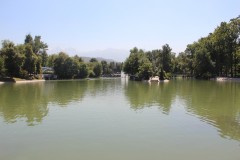IMG_3156