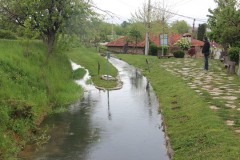IMG_7285