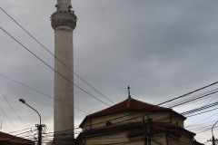 IMG_7329