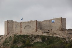IMG_7348