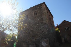 IMG_7432